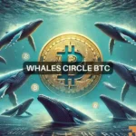 $330M bet on Bitcoin: Whale’s massive accumulation explained