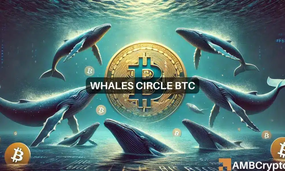 $330M bet on Bitcoin: Whale’s massive accumulation explained