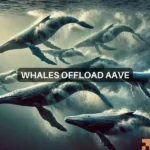 AAVE faces turbulence: Are whales driving a market shift?