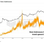 Are Retail Investors Behind The Bitcoin Price Surge This Bull Run?