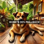 BONK declines 30% as profit-taking intensifies – Key levels to watch for bulls