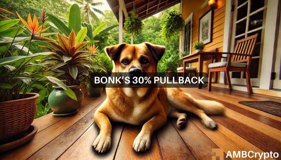 BONK declines 30% as profit-taking intensifies – Key levels to watch for bulls