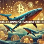 Bitcoin whales refuse to sell—Is $100K closer than we think?