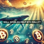 Bitcoin whales scoop up 100K BTC in a week: Sign of a continued rally?