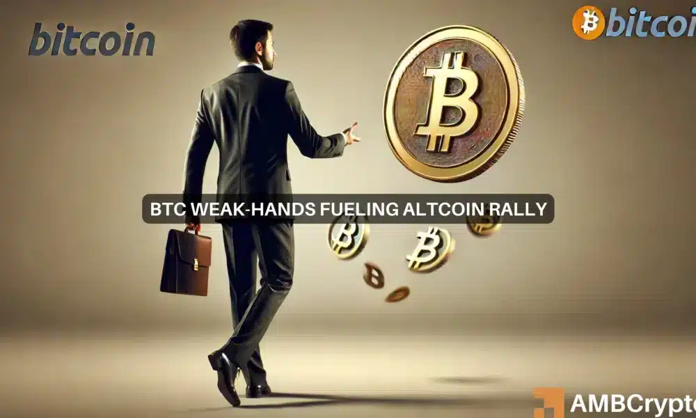 Bitcoin – Weak hands cashing out is good news for memecoins or altcoins?