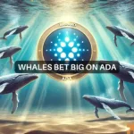 Cardano: What whale holding patterns reveal about ADA’s future