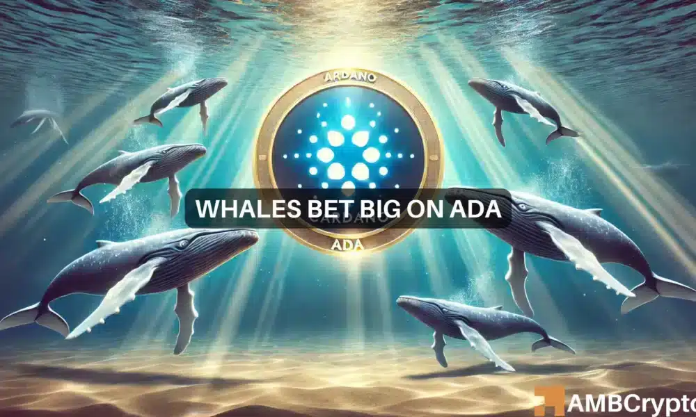 Cardano: What whale holding patterns reveal about ADA’s future