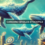 Cardano gains as whale transactions surge: A look at ADA’s future