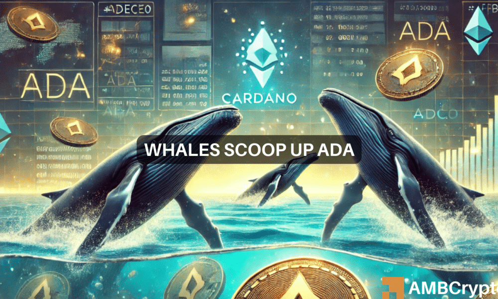 Cardano whales acquire 130M ADA—Is a $1.00 breakout imminent?