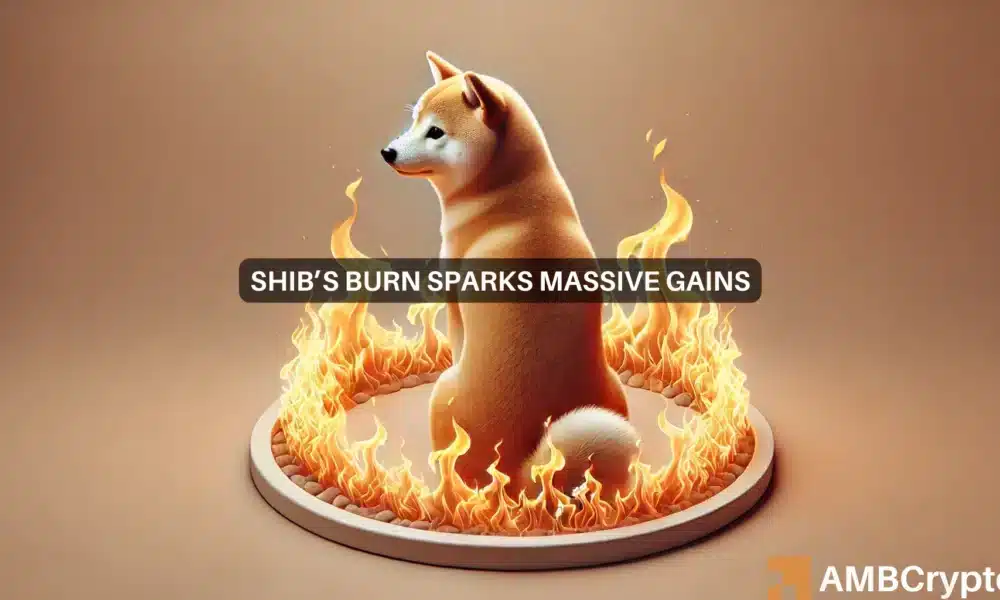 Despite 53 mln Shiba Inu burn, why SHIB’s breakout depends on DOGE