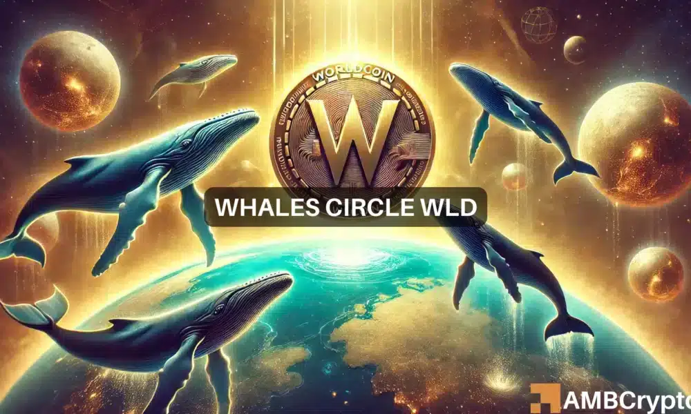 Despite whale interest, Worldcoin fails to break out – Why?