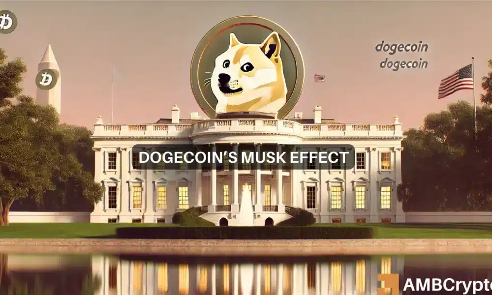 Dogecoin news: Can DOGE soar with Trump back and Musk on board?