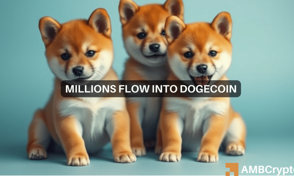 Dogecoin poised for a price shift? Whale moves spark speculation