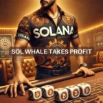 Examining how THIS Solana whale profited from cashing out