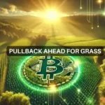 Grass crypto gains 160% in 7 days, sets new ATH: What comes next?