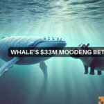 MOODENG whale accumulates 11.8 mln tokens – Recovery coming?