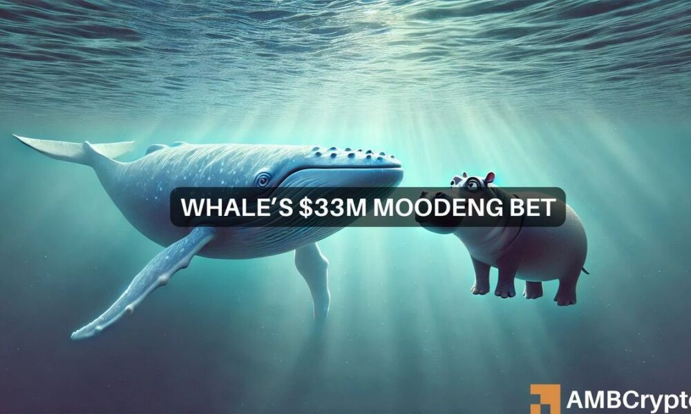 MOODENG whale accumulates 11.8 mln tokens – Recovery coming?