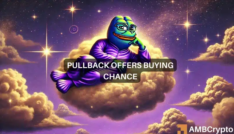 Purple Pepe rallies 120% in 24 hours, trading volume nearly triples