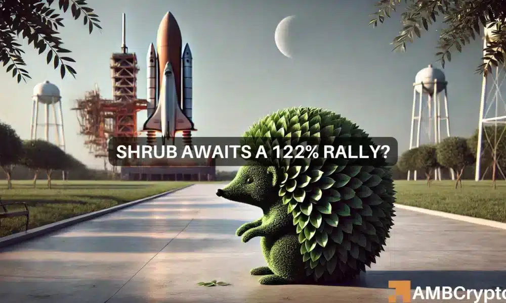 SHRUB crypto soars 5X in 7 days as Elon Musk says ‘exciting times!’