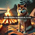 Shiba Inu burn rate spikes 6,223%: Can SHIB break resistance for a rally now?