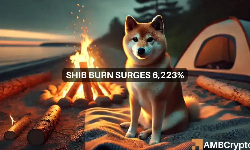 Shiba Inu burn rate spikes 6,223%: Can SHIB break resistance for a rally now?