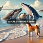 Shiba Inu set for a breakout? Whale activity suggests big moves ahead