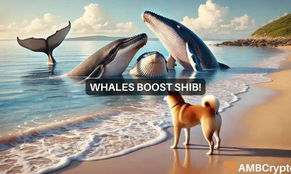 Shiba Inu set for a breakout? Whale activity suggests big moves ahead