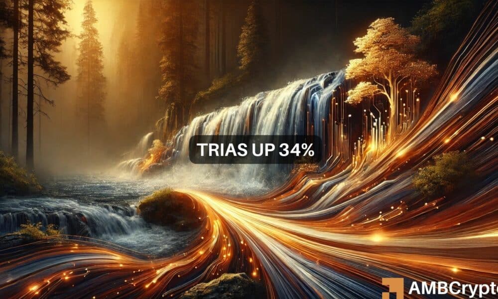 TRIAS crypto surges over 35% in 24 hours: Is $3.98 the next stop?