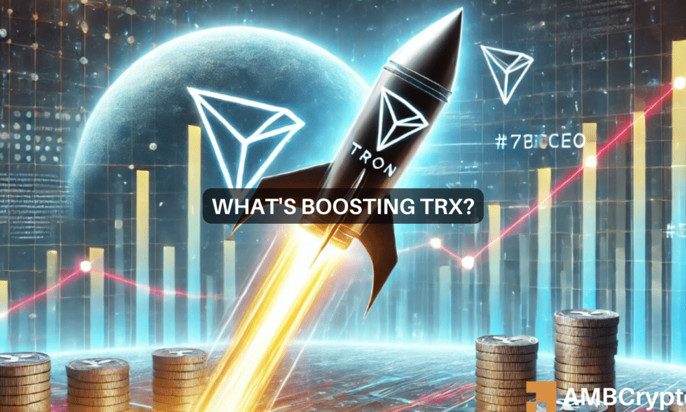 TRON’s USDT dominance – Here’s what that means for TRX’s price