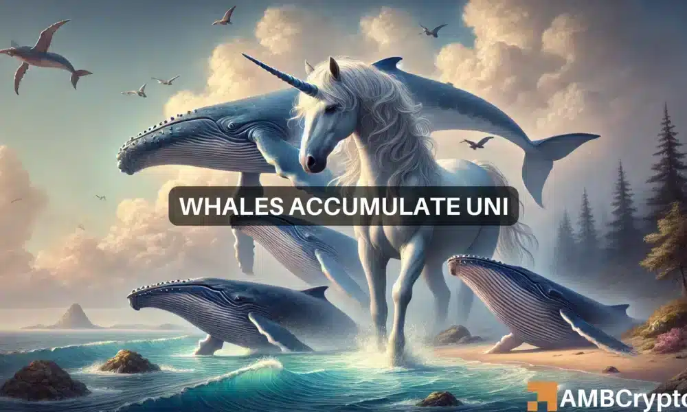 Uniswap whale scoops up 437K UNI – Can this fuel a rebound?