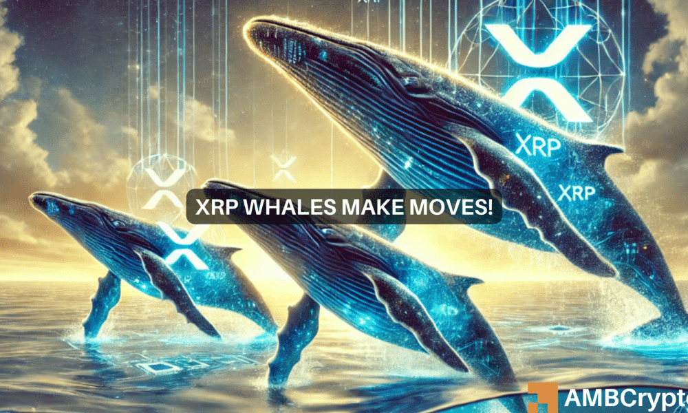 Whales buy $233M XRP in a single day: What this means for Ripple