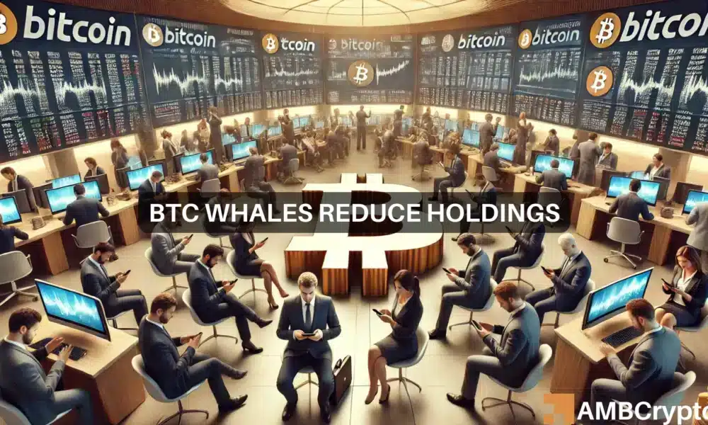 Why Bitcoin whales have reduced their holdings since January 2024