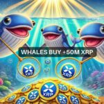 XRP price prediction – Will whale demand drive price to $2?