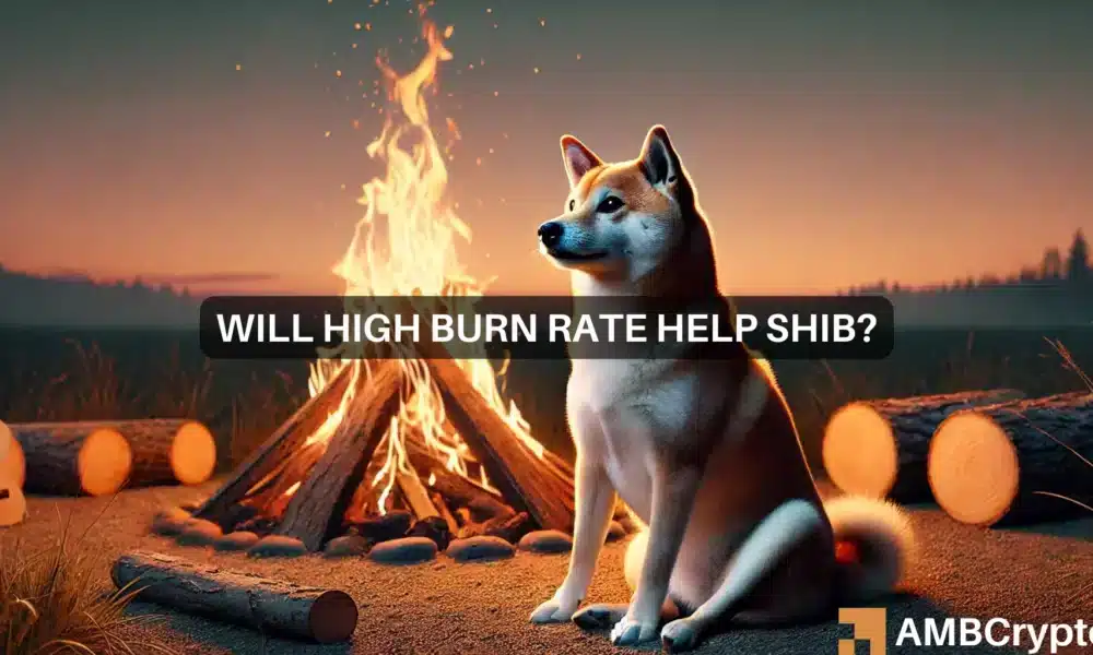 Shiba Inu burn rate explodes 7418%: Can it send SHIB to the moon?