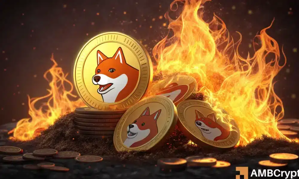 Shiba Inu burn rate plummets 90% – How this will impact SHIB prices in 2025