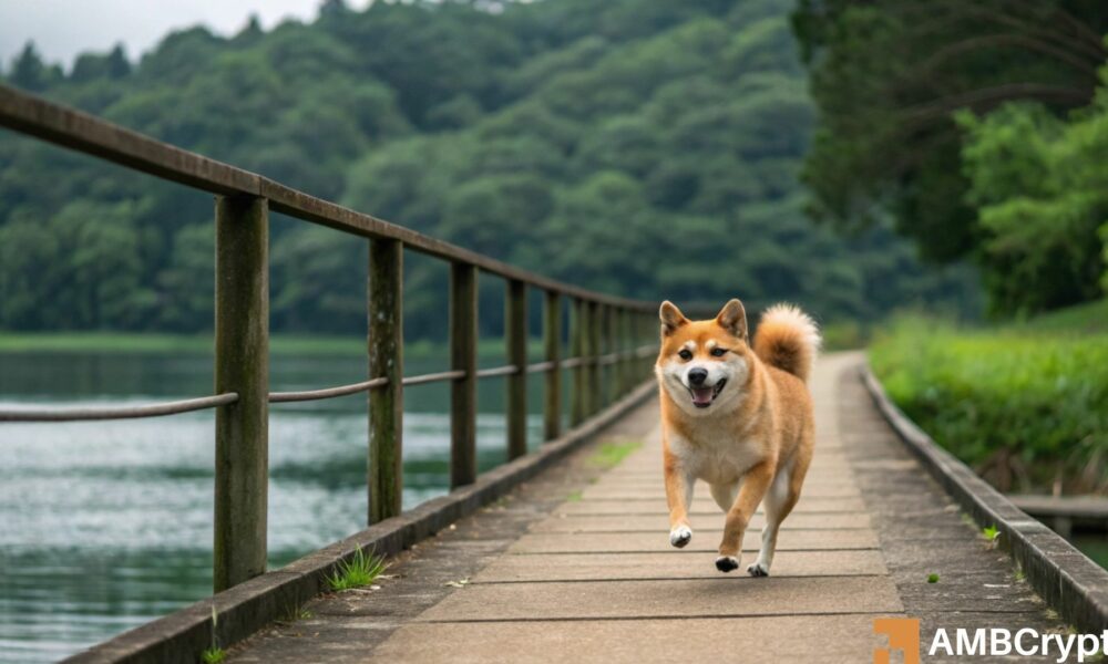 Shiba Inu – Can the Chainlink partnership help SHIB after its 35% fall?