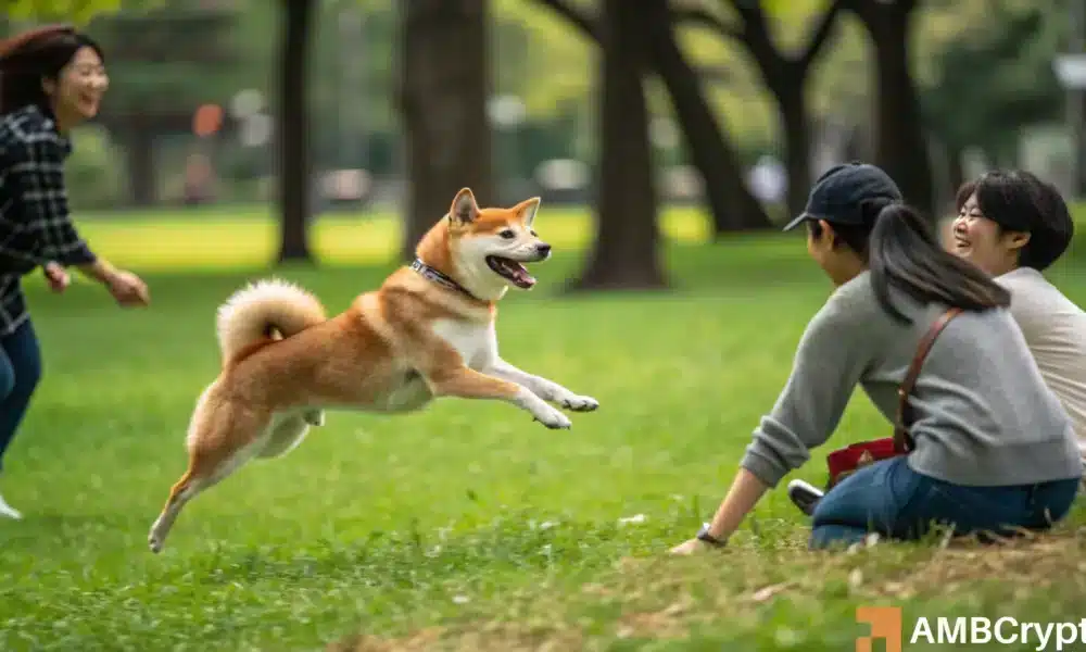 Shiba Inu’s latest Metaverse move – All about ‘groundbreaking’ Virtual World Project!