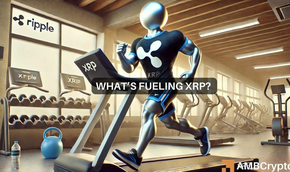 Why is XRP going up? Trump’s victory, Gensler’s exit fuel the surge