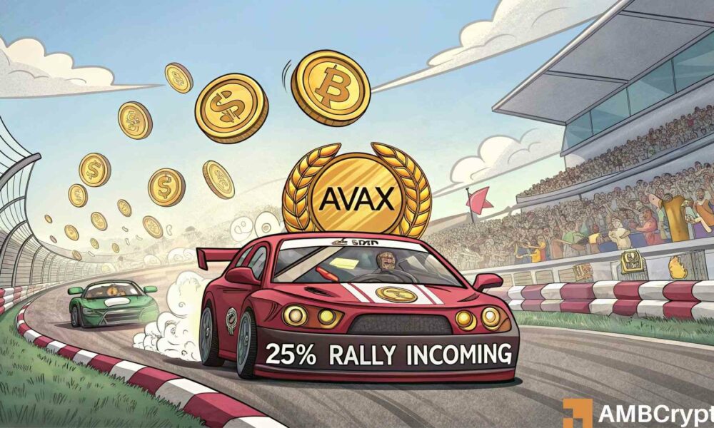 25% price rally may be on for AVAX, but what do traders, investors have to say?