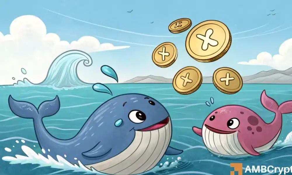 360M XRP purchase fuels whale activity – Enough for hike to $3?