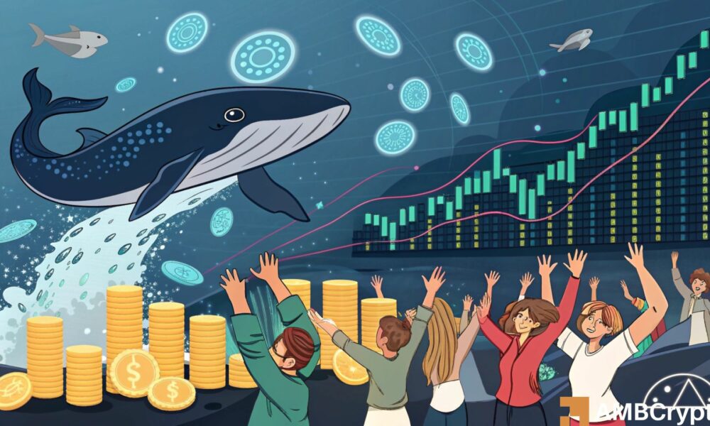 Breaking down Cardano whales’ 40 million move and impact on ADA