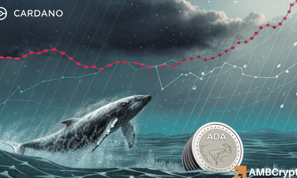 Can Cardano hold THIS critical support after 70M whale sell-off?