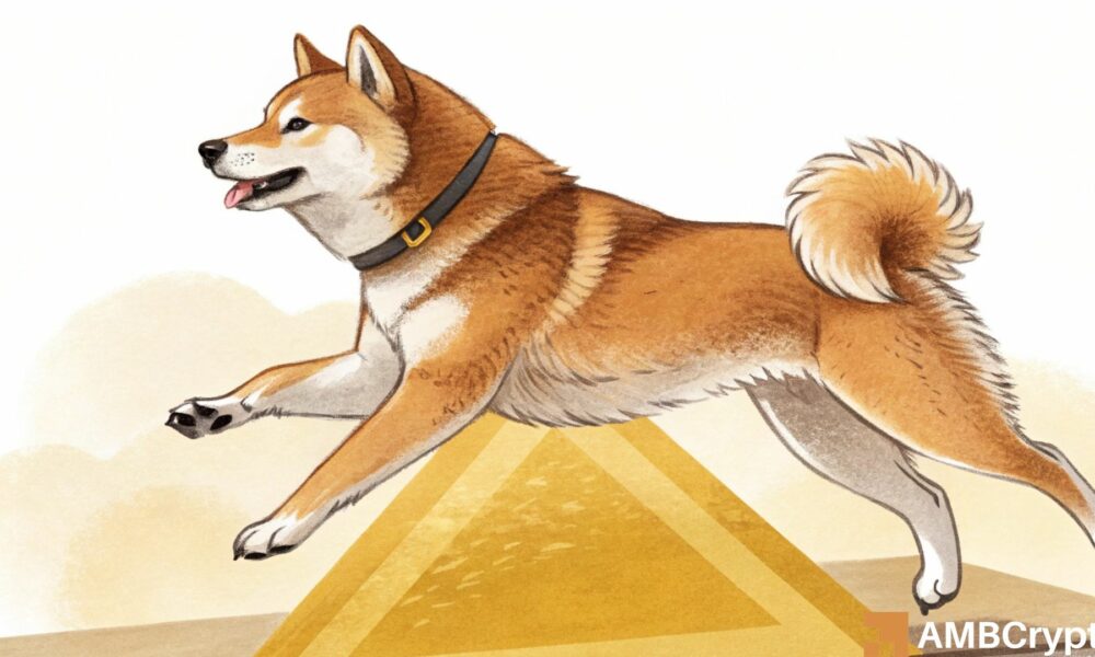 Can Shiba Inu defy THIS descending pattern and trigger a price reversal?