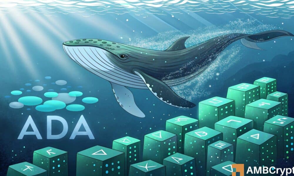 Cardano whales buy the dip – Analyzing impact on ADA’s price action