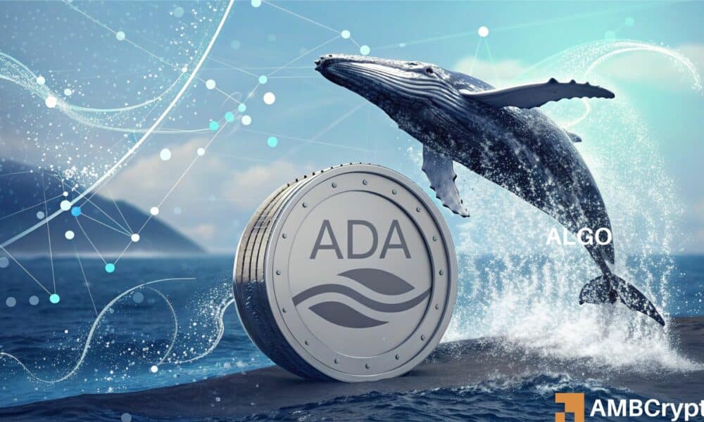 Cardano – How whales’ re-entry can push ADA past $1.5 on the charts