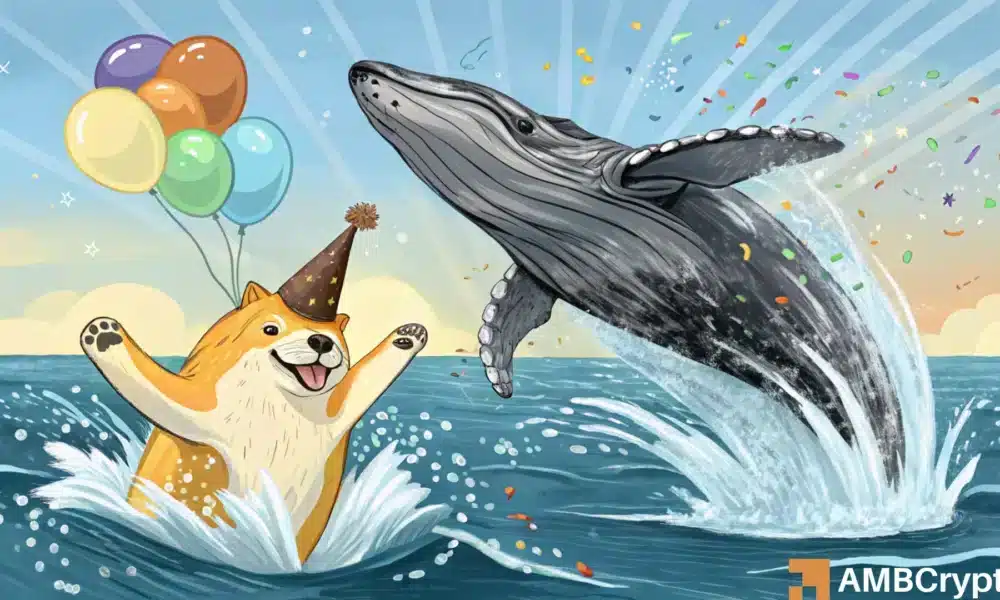 Dogecoin soars 18% in a week: Whales accumulate, $1 target predicted