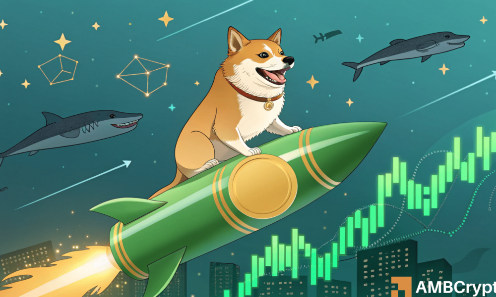 Dogecoin’s breakout odds – Here’s why whales might have the answer!