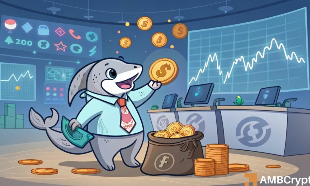 FLOKI: Assessing chances of a whale-driven rally for the memecoin