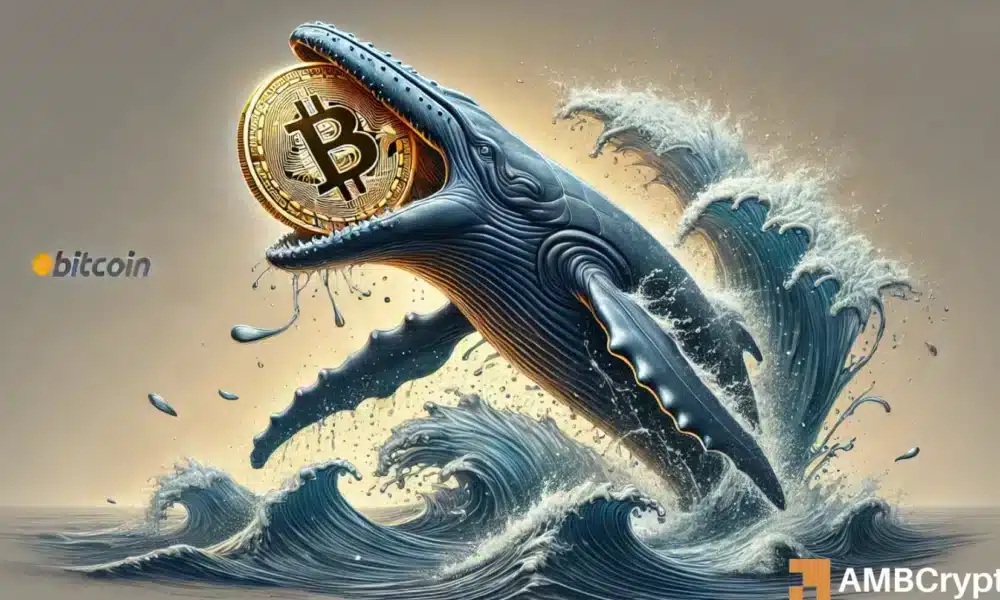 Is Bitcoin’s future at risk of whale manipulation? The shift you need to know