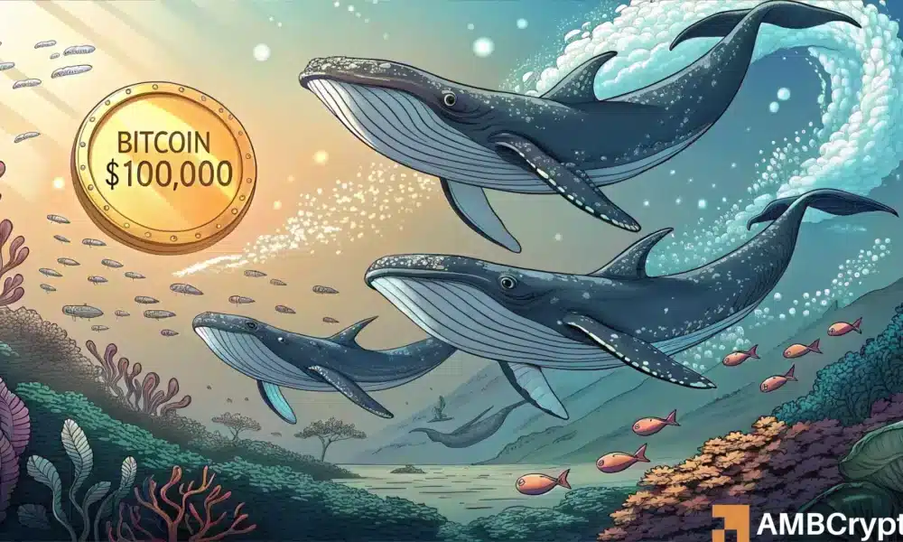 Will Bitcoin’s liquidity and whale activity drive it past $100,000 again?